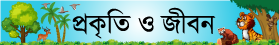 সড়ক দুর্ঘটনা