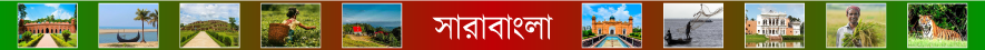 সাারাদেশ