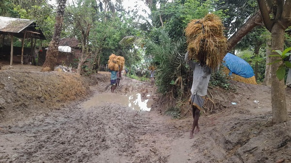 আত্রাইয়ে ট্রাক্টরের মাটি পরিবহনে গ্রামীণ রাস্তার বেহাল দশা: বোরো ধান নিয়ে বিপাকে কৃষক