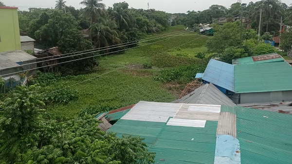 দখল ও কচুরিপানায় অস্তিত্ব সংকটে বটিয়াঘাটার নদী-খাল