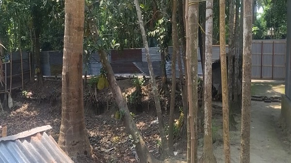 মুকসুদপুরে ডিসিআরভুক্ত জমি নিয়ে বিরোধ, অসহায় পরিবারের বসবাস নিশ্চিতের দাবি