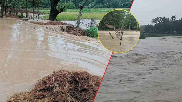নদীর বাঁধ ভেঙে প্লাবিত ২০ গ্রাম, দুশ্চিন্তায় কৃষকেরা