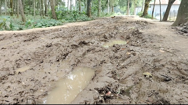 ঘাটাইলের ধলাপাড়ায় বেহাল সড়কে জনদুর্ভোগ চরমে, দ্রুত সংস্কারের দাবি 