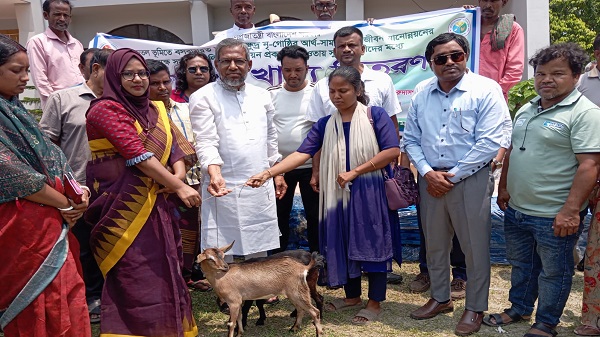 বড়াইগ্রামে ক্ষুদ্র নৃ-গোষ্ঠীর মাঝে ছাগল ও গো-খাদ্য বিতরণ