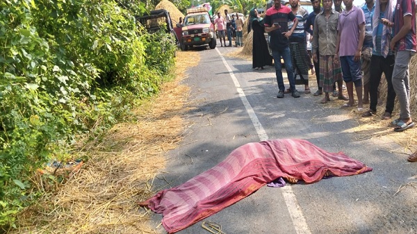 টুঙ্গিপাড়ায় কাভার্ডভ্যানের ধাক্কায় নারী নি’হ’ত