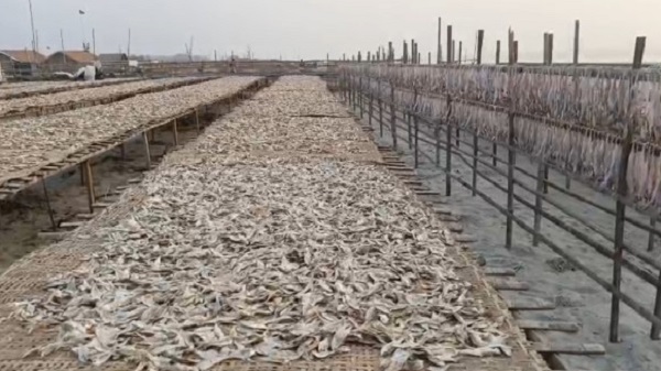 সমুদ্রে কোটি টাকার মাছ, তবু দারিদ্র্যের সঙ্গে লড়ছে সাতক্ষীরার জেলেরা
