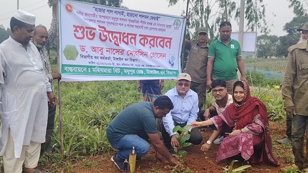 মধুপুর রেঞ্জে শালগাছ মডেল প্লট উদ্বোধন