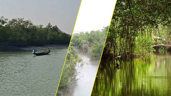 সুন্দরবনে জলদস্যুদের মুক্তিপণ দিয়েও নিখোঁজ ২, ফিরেছেন ১৮ বনজীবী