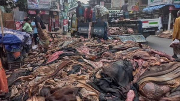লবণের দাম বৃদ্ধিতে চট্টগ্রামের ৪ লাখ চামড়া ঝুঁকিতে