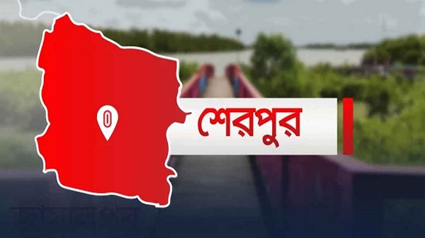 পঞ্চম শ্রেণির ছাত্রীকে ধর্ষণের পর গর্ভপাতের অভিযোগ