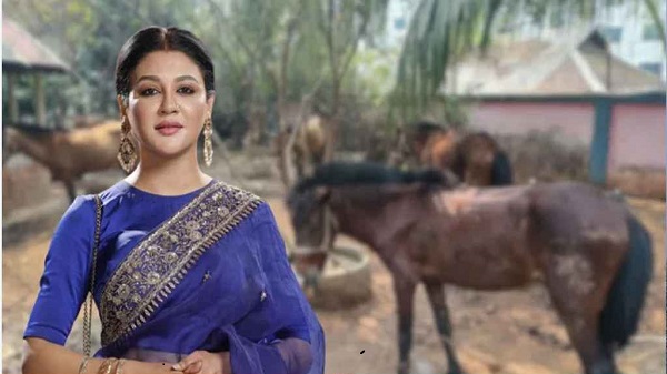 ঘোড়ার মাংসের বাণিজ্য নিষিদ্ধ চেয়ে হাইকোর্টে জয়া আহসান