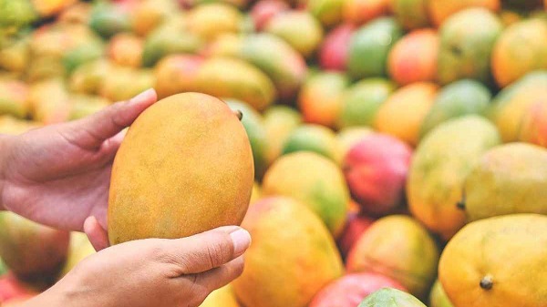 রাসায়নিক দিয়ে পাকানো আম চেনার সহজ উপায় 