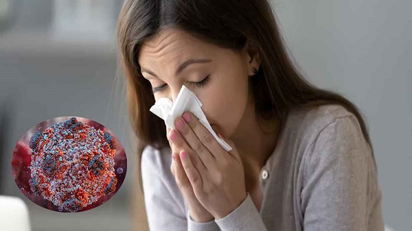 হাঁচি–কাশিতেও ছড়াতে পারে হান্টা ভাইরাস, বলছে গবেষণা