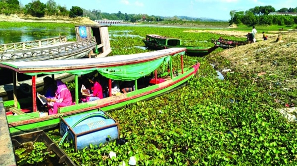 কচুরিপানার দাপটে কাপ্তাই জেটিঘাটে নৌযান চলাচল ব্যাহত, যাত্রীদের চরম ভোগান্তি