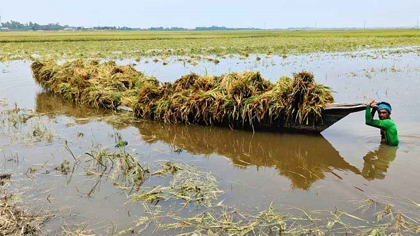 দুর্যোগ আসার আগেই পৌঁছে যাবে সতর্কবার্তা, কমবে ক্ষয়ক্ষতি 