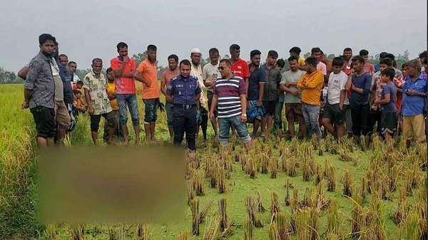 ধানক্ষেত থেকে মাটিচাপা দেওয়া মরদেহ উদ্ধার