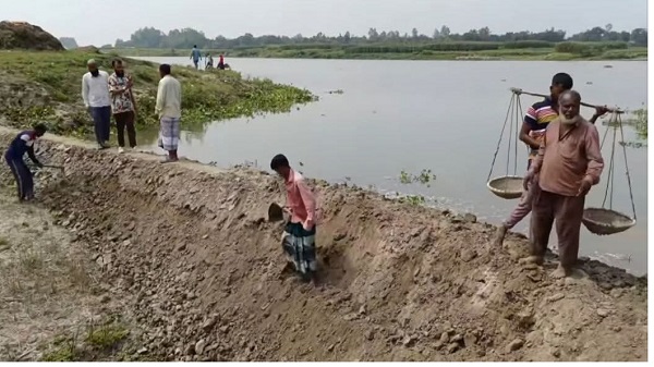 আত্রাইয়ে উজানের ঢলে নদীর পানি বৃদ্ধি, ফসল রক্ষায় স্বেচ্ছাশ্রমে বাঁধ মেরামতে কৃষকদের ব্যস্ততা
