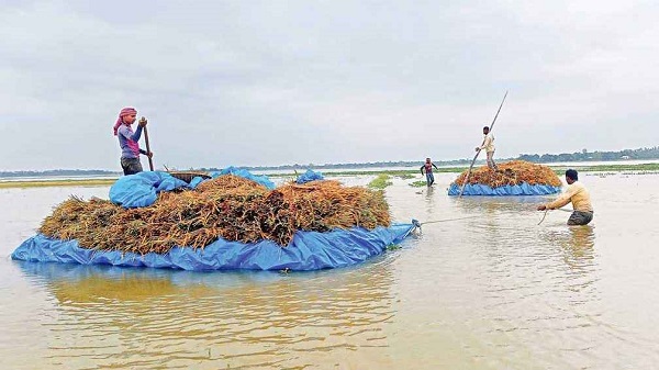 ৩ জেলার হাওরাঞ্চলে বন্যা পরিস্থিতির উন্নতি