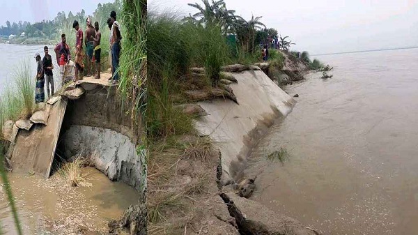 যমুনার গর্ভে হারিয়ে যাচ্ছে চৌহালী: ভাঙনের সঙ্গে ভাঙছে মানুষের স্বপ্ন