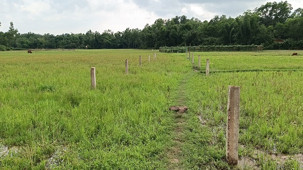 সাতকানিয়ায় জমি নিয়ে বিরোধ, রাস্তা নির্মাণকে কেন্দ্র করে মুখোমুখি দুই পক্ষ