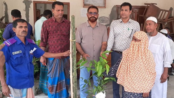 নন্দীগ্রামে কৃষি পুনর্বাসন কর্মসূচির আওতায় কৃষকদের মাঝে গাছের চারা বিতরণ