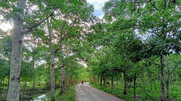 স্বরূপকাঠি : প্রকৃতির ক্যানভাসে আঁকা এক রূপসী জনপদ
