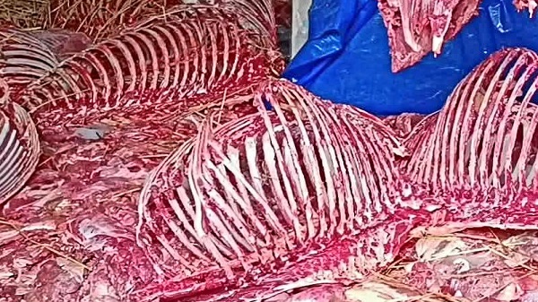 সাদুল্লাপুরে গরুর মাংস বলে ঘোড়ার মাংস বিক্রির অভিযোগ, অভিযান চালিয়ে ৫ জন আটক