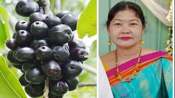 জাম পাড়তে গিয়ে শিক্ষিকার মৃত্যু