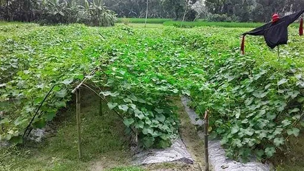 গাইবান্ধায় বজ্রপাতে মা-ছেলের মৃত্যু