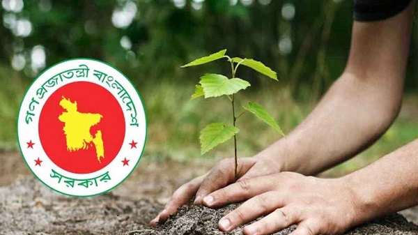 ২৫ কোটি গাছ রোপণের কার্বন ক্রেডিট বিক্রি করে বিলিয়ন ডলার আয় করতে পারে বাংলাদেশ