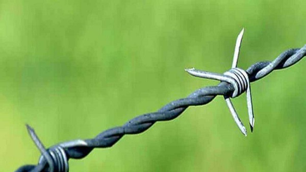 আবারও সীমান্তে বেড়া দেওয়ার চেষ্টা বিএসএফের, বিজিবির বাধায় কাজ বন্ধ