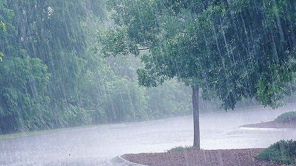 আগামী পাঁচদিনের বৃষ্টিপাত নিয়ে যা জানাল আবহাওয়া অফিস