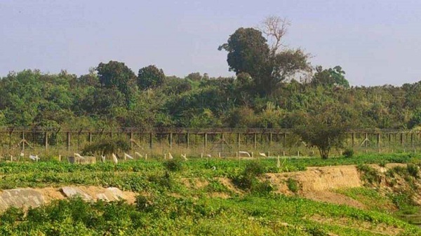 সীমান্তে মাইন বিস্ফোরণে যুবকের মৃত্যু