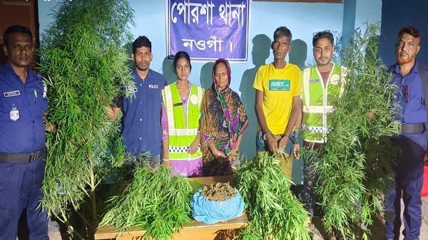 পোরশায় ১ কেজি গাঁজা ও ৪টি গাঁজা গাছসহ দুই মাদক ব্যবসায়ী গ্রেফতার