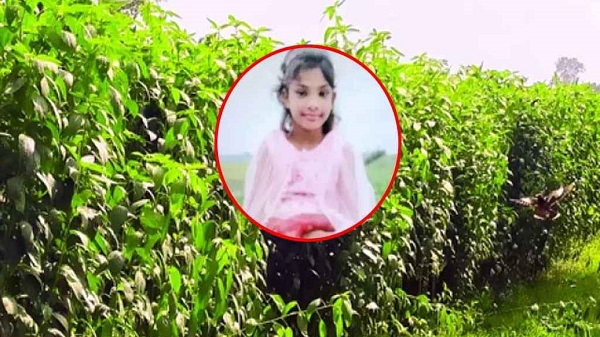 নিখোঁজের পরদিন পাটক্ষেতে মিলল শিশুর মরদেহ 