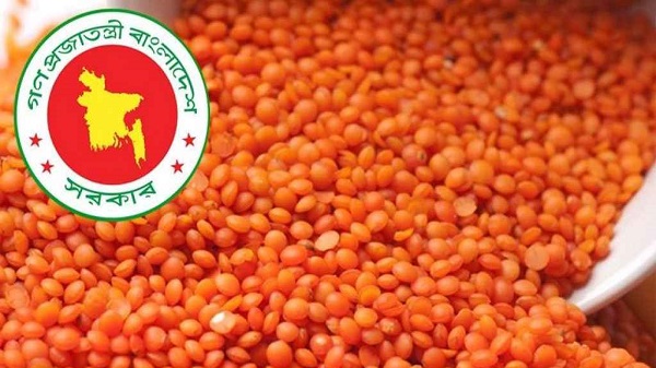 টিসিবির জন্য ১০ হাজার টন মসুর ডাল কিনছে সরকার