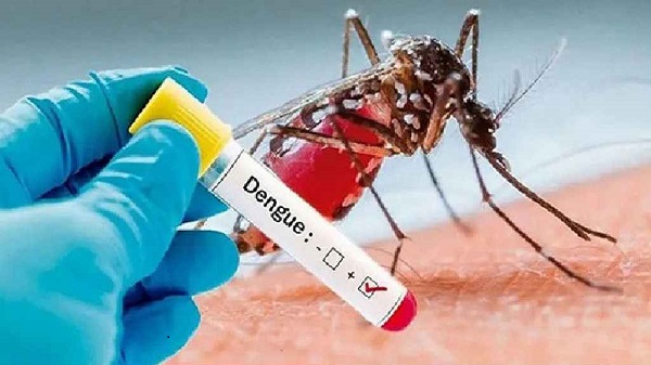 ডেঙ্গুতে ২ জনের মৃত্যু, হাসপাতালে ১৫৭