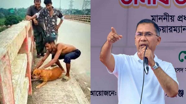 ইট বেঁধে কুকুরকে নদীতে ছুঁড়ে ফেলার ভিডিও প্রধানমন্ত্রীর নজরে, দিলেন যে নির্দেশ