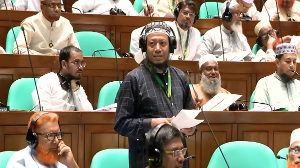 এই বাজেট চানাচুর মার্কার মতো, খেলে পেট খারাপ হবে: আমির হামজা