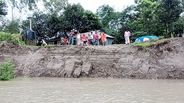ব্রহ্মপুত্রের ভাঙনে বিলীন ২৫ পরিবারের বসতভিটা, জমি কিনেও ঘর তুলতে না পেয়ে দিশেহারা ক্ষতিগ্রস্তরা