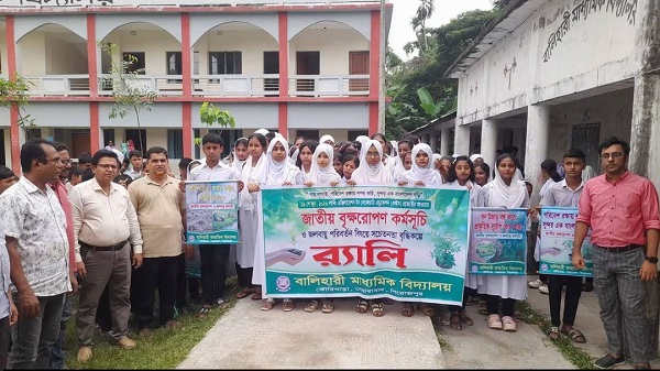 নেছারাবাদে বৃক্ষরোপণ কর্মসূচি অনুষ্ঠিত