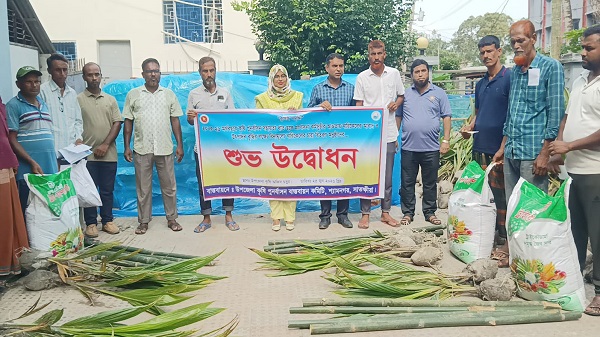 শ্যামনগরে কৃষি পুনর্বাসন প্রণোদনা কর্মসূচির আওতায় নারিকেলের চারা বিতরণ