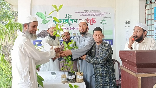 ভাদালিয়ায় প্রাক্তন ছাত্র পরিষদের উদ্যোগে বৃক্ষরোপণ ও চারা বিতরণ কর্মসূচি
