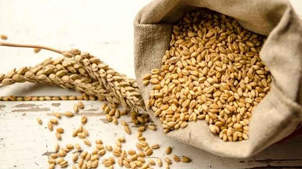 ২ লাখ ৭০ হাজার মেট্রিক টন গম আমদানি করবে সরকার 