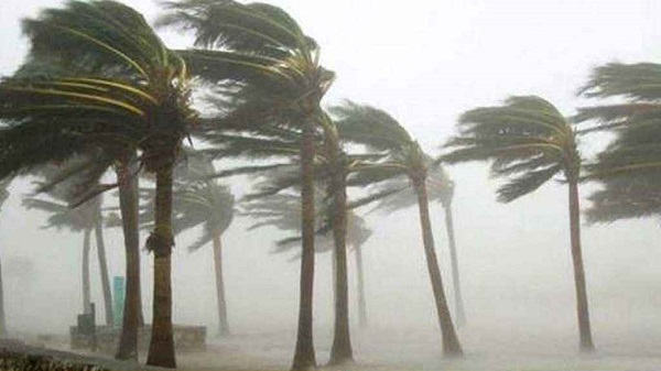 দুপুর ১টার মধ্যে যেসব জেলায় ঝড়-বৃষ্টির শঙ্কা