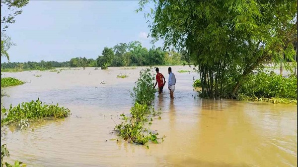 মনু নদীর পানি বিপদসীমার ওপরে, বাঁধ ভেঙে প্লাবিত ১৫ গ্রাম