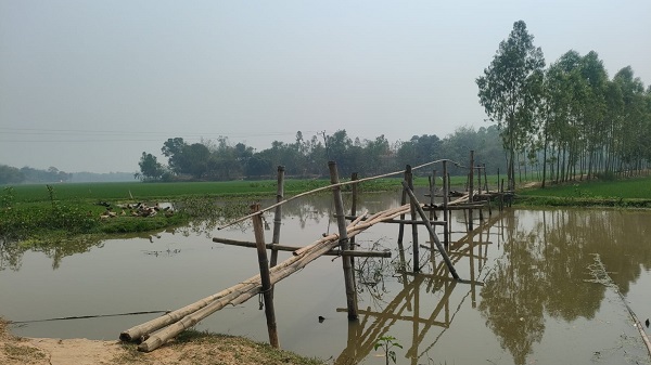 সখীপুরে দুই গ্রামের মানুষের একমাত্র ভরসা বাঁশের সাঁকো, স্থায়ী সেতুর দাবি