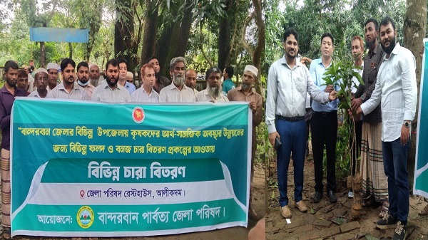 আলীকদমে ৭০ কৃষকের মাঝে ফলদ ও বনজ গাছের চারা বিতরণ