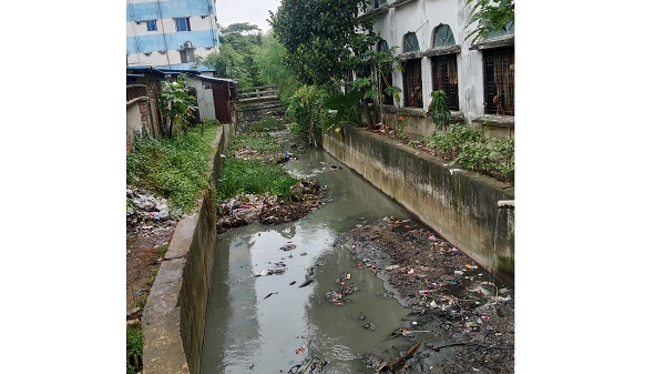 সামান্য বৃষ্টিতেই হালিশহর গ্রিনভিউ আবাসিক এলাকায় জলাবদ্ধতা, নালা সংস্কারের দাবি 