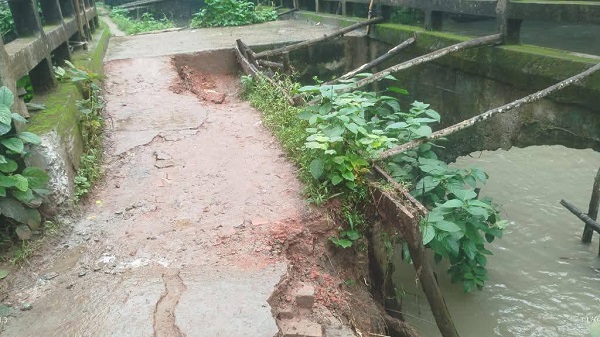 খালের গর্ভে নেছারাবাদের রাজাবাড়ী–জিলবাড়ী সড়ক, মৃত্যুঝুঁকিতে পাঁচ গ্রামের মানুষ